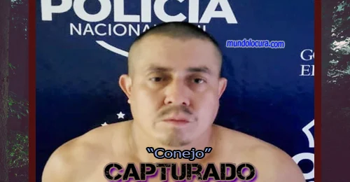 alias conejo
