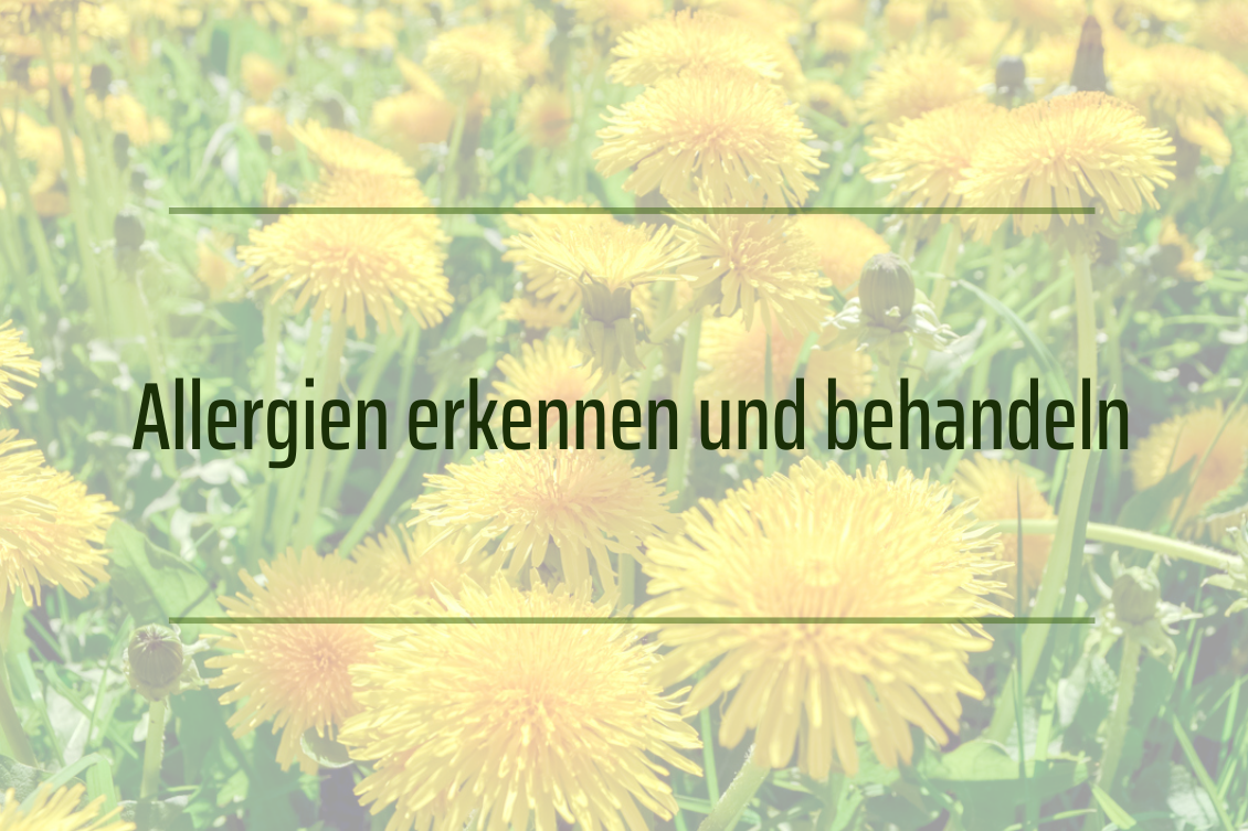 Allergien erkennen und behandeln