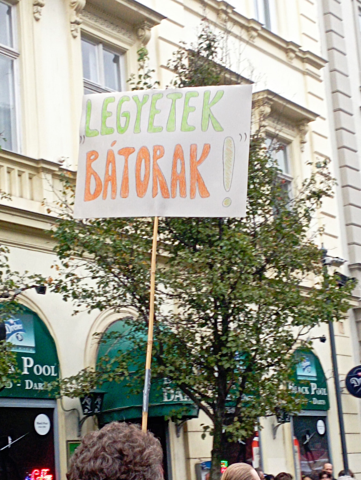 Kép