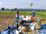 Prajurit Tak Segan Bantu Petani untuk Kemandirian Pangan