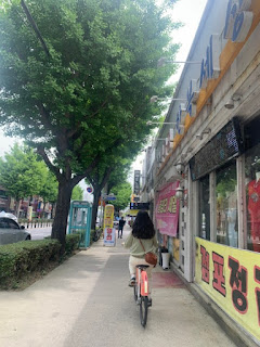 내일 전라도 여행 - DAY3 순천