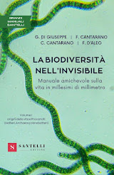 La biodiversità nell'invisibile