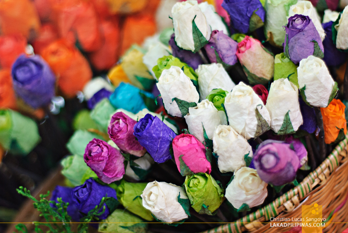 Fossilized Flowers in Quirino