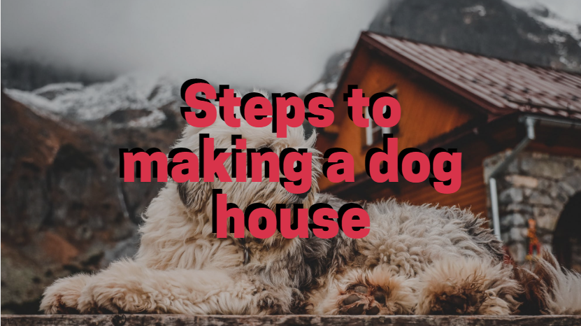 Steps to making a dog house