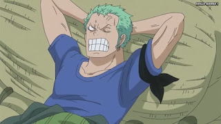 ワンピースアニメ ゾウ編 764話 ロロノア・ゾロ Roronoa Zoro  | ONE PIECE Episode 764