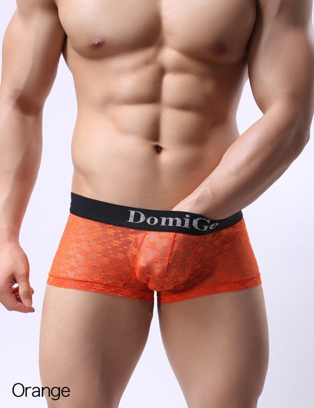 男性下着 DomiGe Mesh Boxer ボクサーパンツ