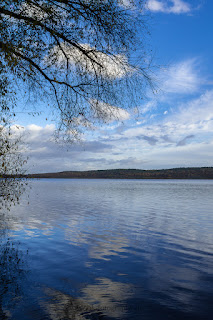 Naturfotografie Schwielowsee Havel Schloss Petzow