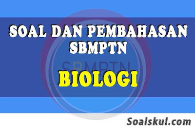 Soal UTBK Biologi dan Pembahasan Terlengkap