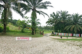 Review Campsite | Riverside Camp, Gopeng, Perak