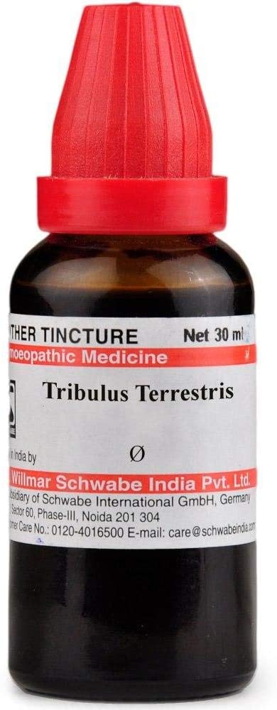 Tribulus Terrestris Q Mother Tincture Q Symptoms Uses and Banefit 