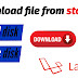 Download file from storage local disk and public disk on laravel