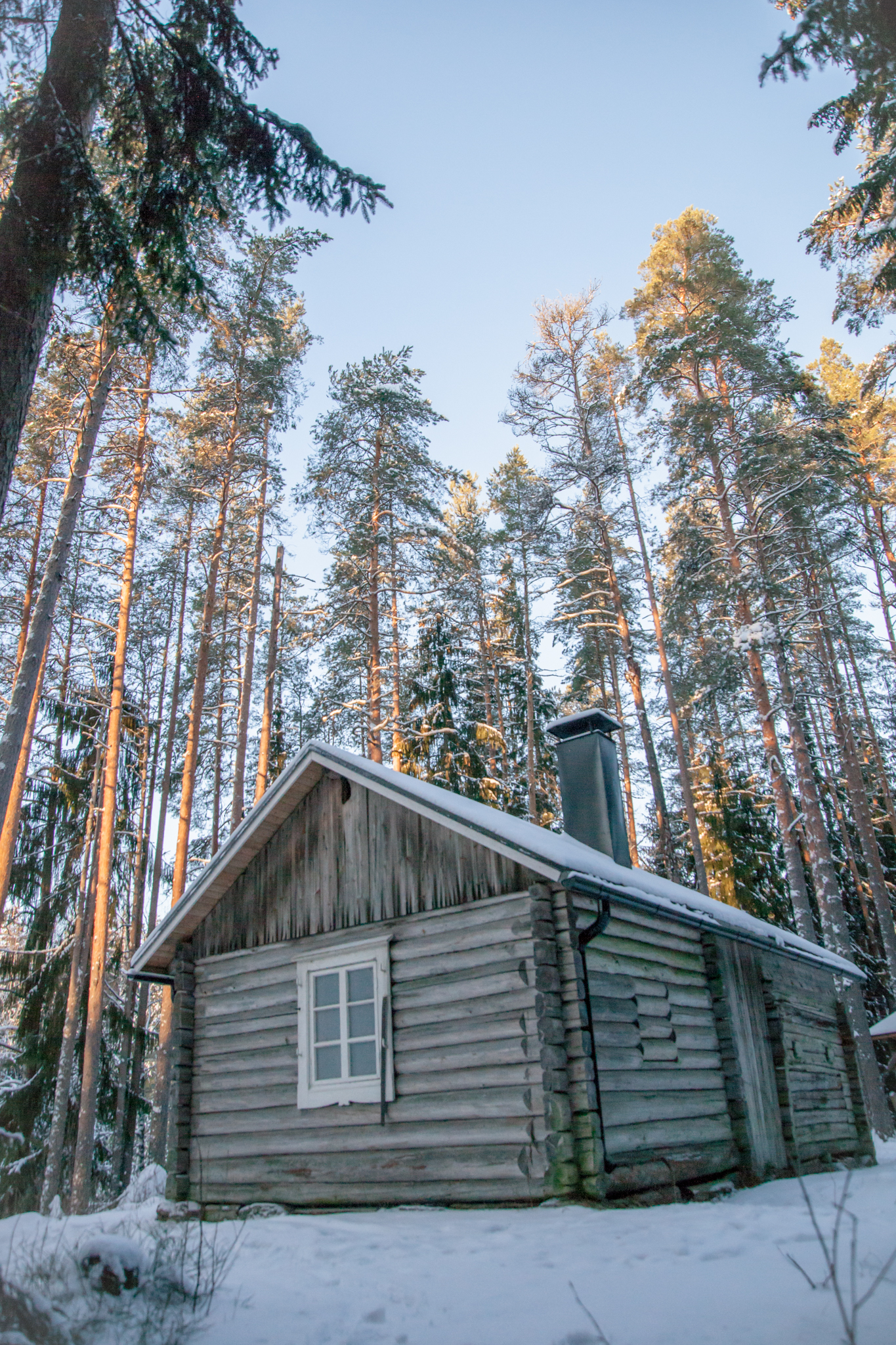 Moronvuoren päivätupa Valkmusa