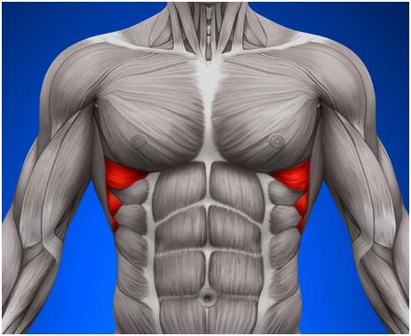 Top 5 Exercises for Serratus Anterior For Shoulder Stability