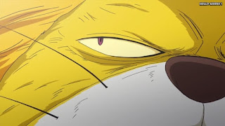 ワンピースアニメ ゾウ編 765話 ネコマムシ 注射 可愛い NEKOMAMUSHI | ONE PIECE Episode 765