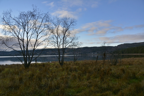 Røshomstranda Karlsrudtangen