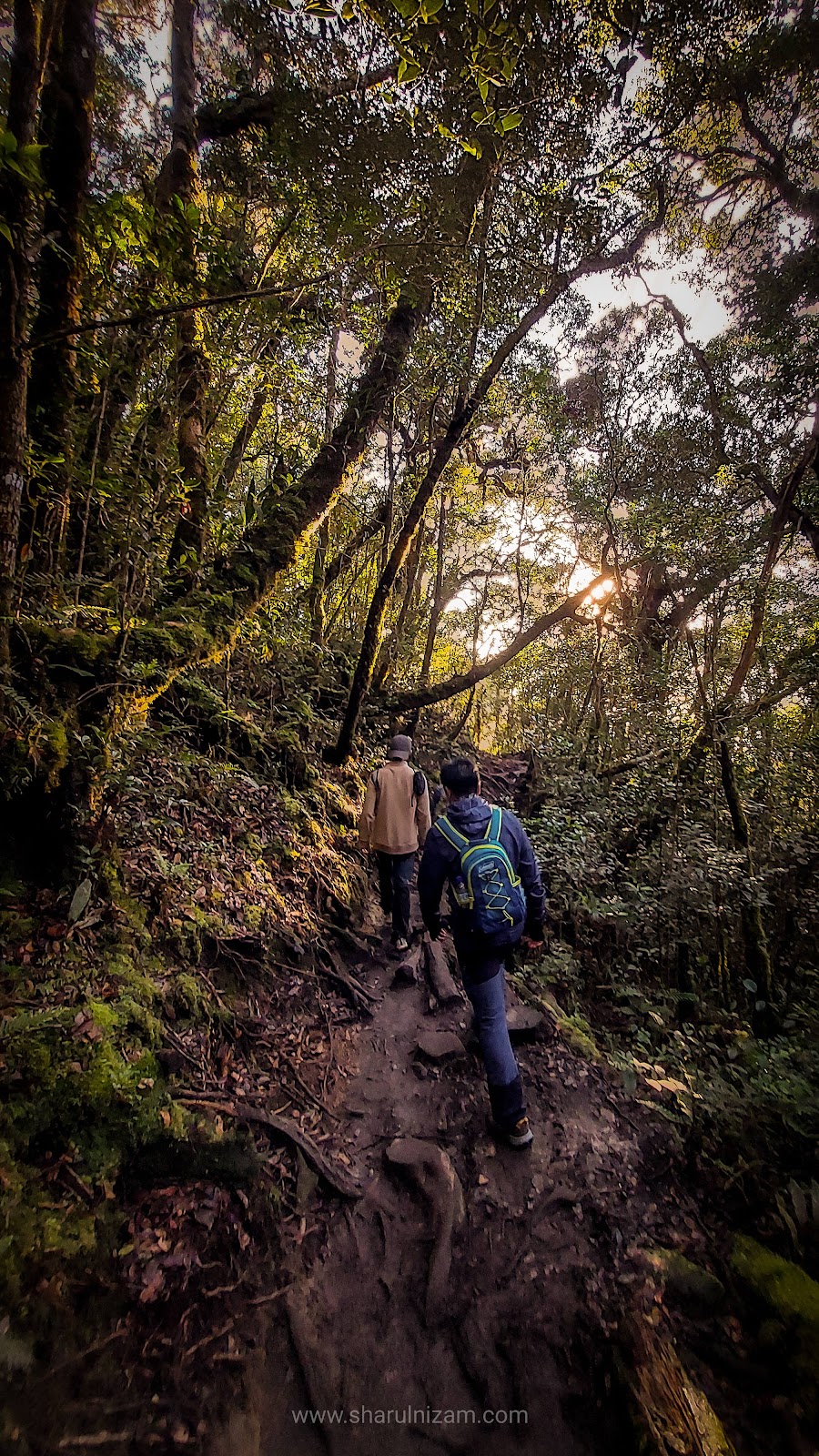 Maragang Hill Sunrise Attack; Pengalaman Melihat 1001 Bintang, Matahari Terbit Dan Gunung Kinabalu