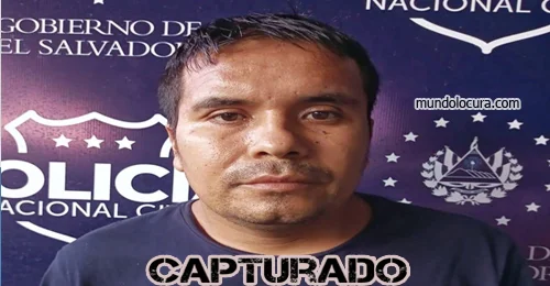 alias mingo