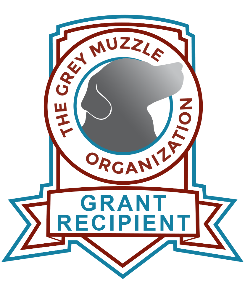 2023 Grey Muzzle Grant Recepient