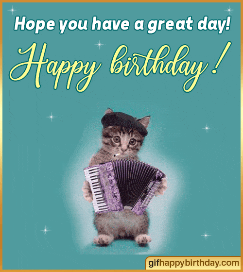 happy birthday gifs cat