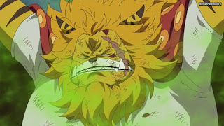 ワンピースアニメ ゾウ編 760話 ネコマムシ | ONE PIECE Episode 760