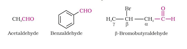 Aldehydes, Ketones and Carboxylic Acids Chemistry Class 12 Notes