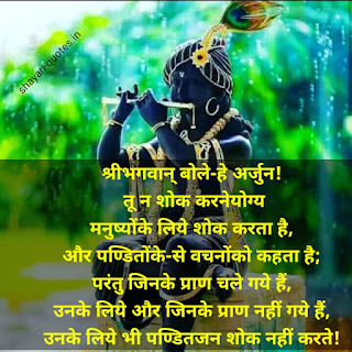 Life bhagavad gita quotes in hindi image