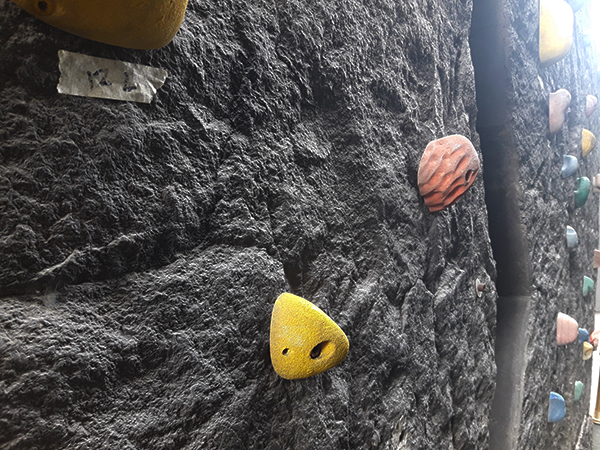 climbing holds or jugs