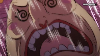 ワンピースアニメ 1000話 ワノ国編 | ONE PIECE ビッグマム