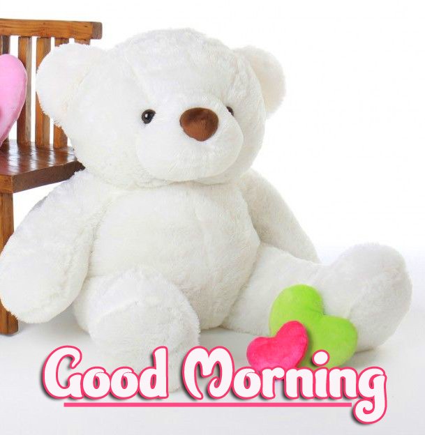 Good Morning Teddy Bear Photo