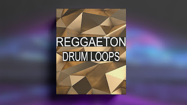 REGGAETON DRUM LOOPS 2022  | vol.19