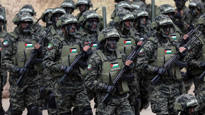 Nexos entre el Grupo Hamas y el Cártel de Sinaloa