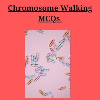 Chromosome Walking MCQs most probably ask in CSIR NET Exam