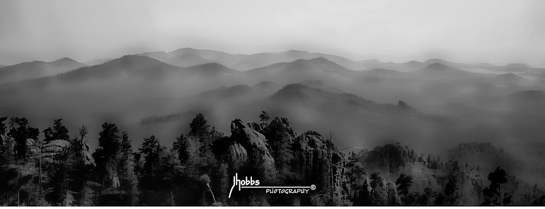 Foggy Morning in the Black Hills - South Dakota
