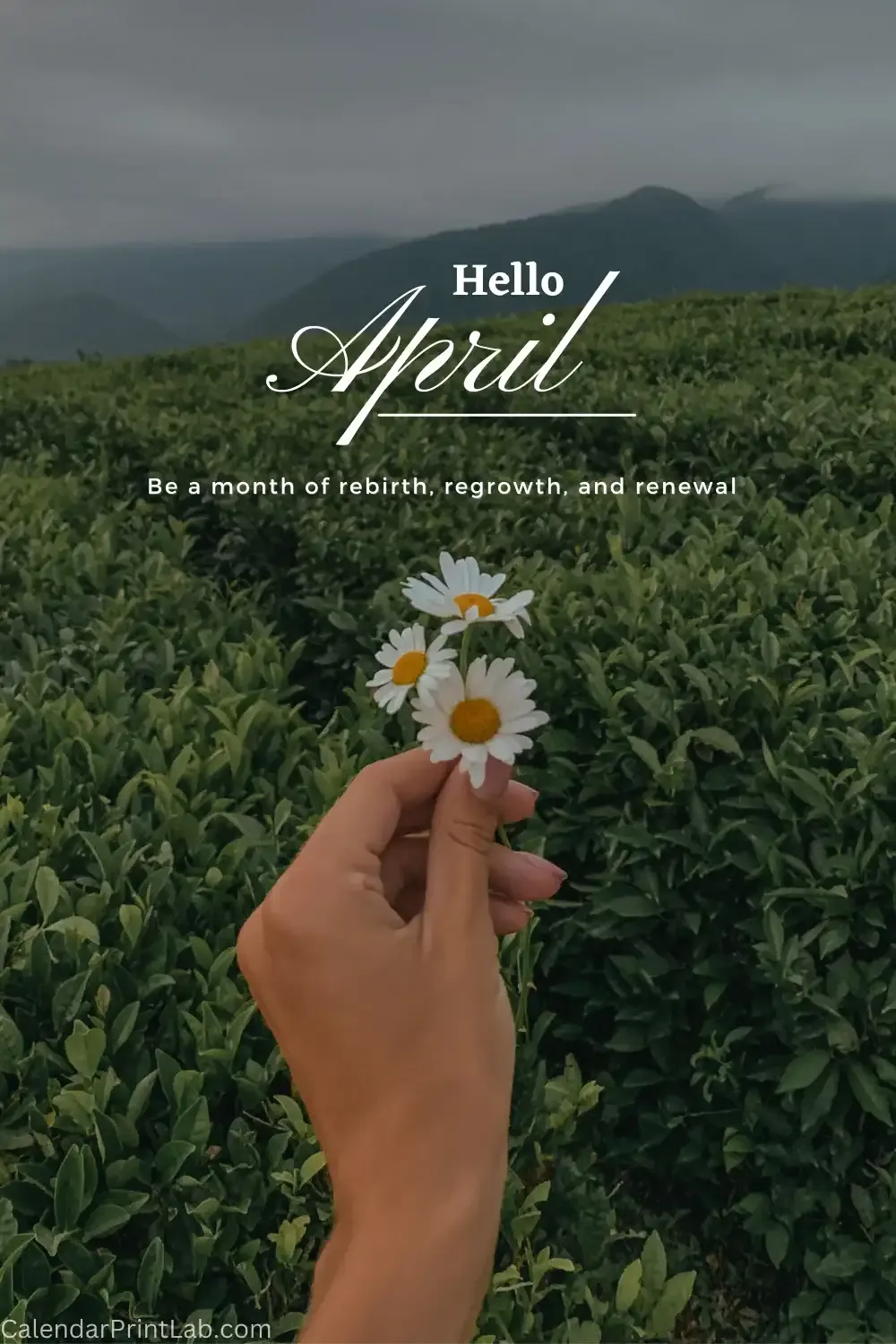 Hello April Quotes with Image