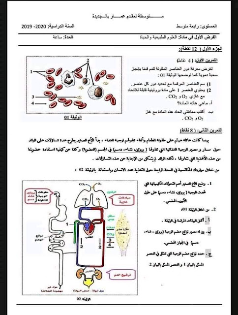 فرض العلوم الطبيعية للسنة الرابعة متوسط للفصل الاول مع الحل