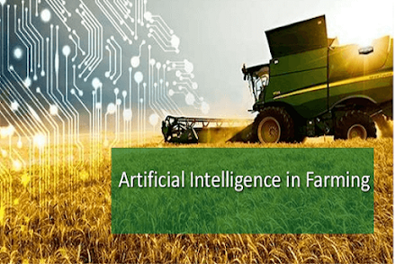 How AI Can Impact Agro Based Industries?