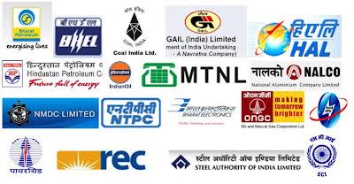 GOVERNMENT COMPANY 