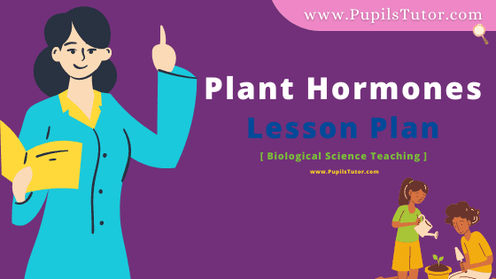 Plant Hormones Lesson Plan For B.Ed, DE.L.ED, BTC, M.Ed 1st 2nd Year And Class 10th, 11 and 12th Biological Science  Teacher Free Download PDF On School Teaching Skill In English Medium. - www.pupilstutor.com