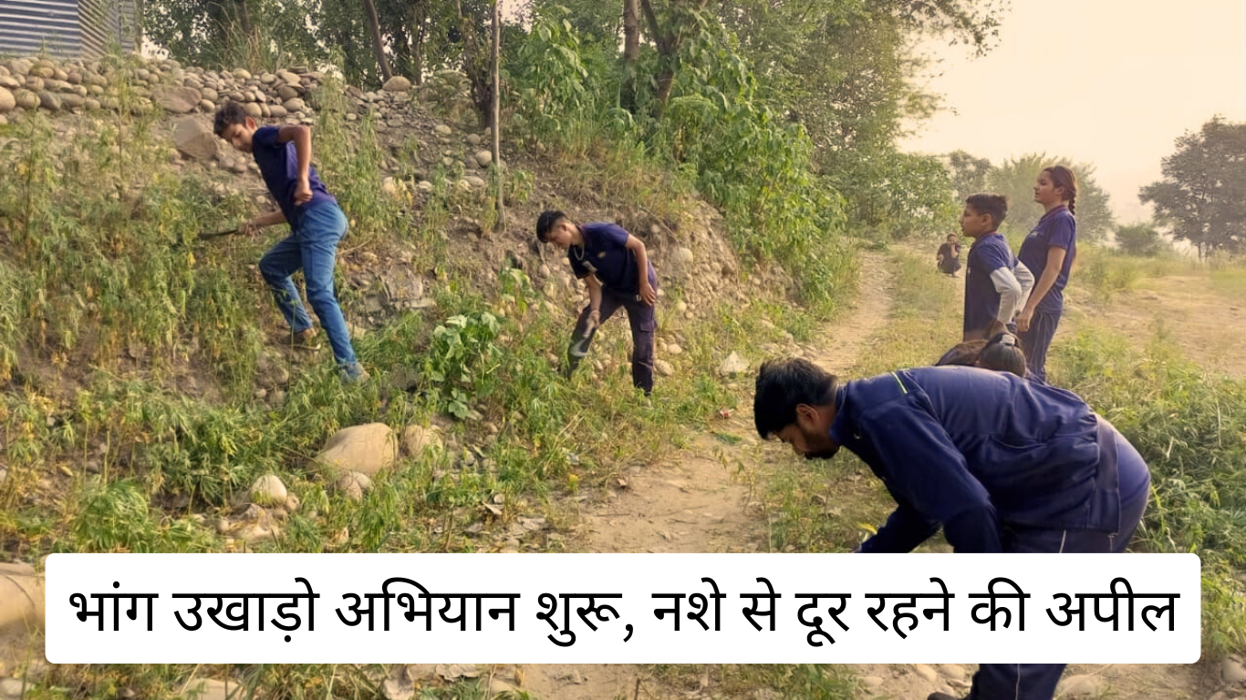 Bilaspur: Campaign to uproot cannabis, appeal to stay away from drugs