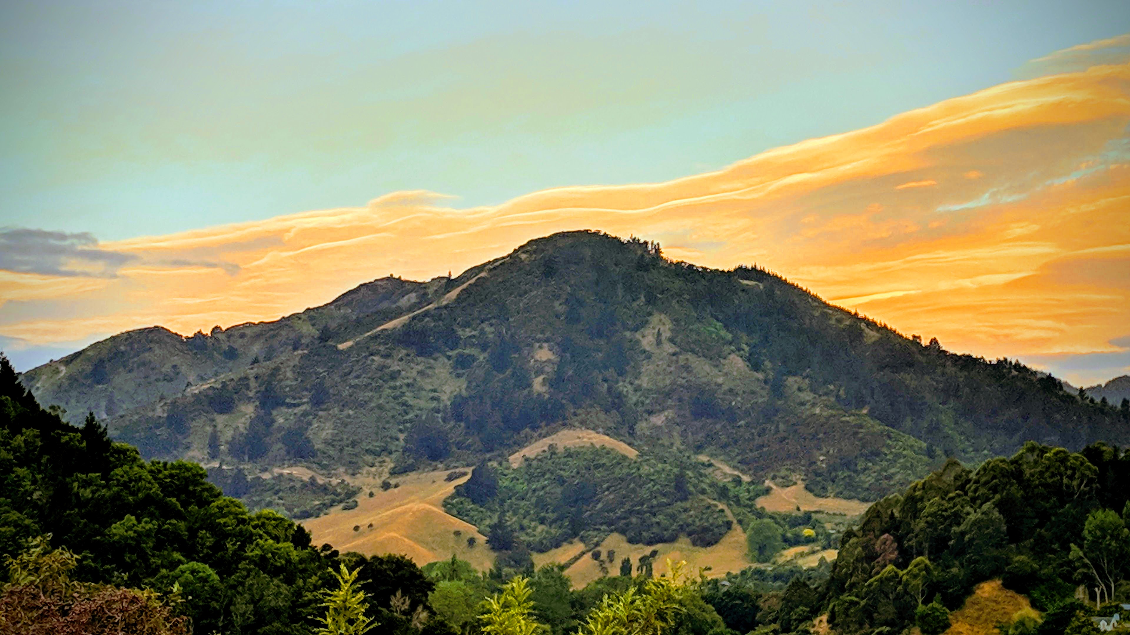 Photo of the purported "Centre of New Zealand" on the outskirts of Nelson.