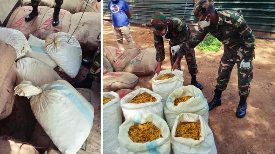 219-kilograms-of-turmeric-worth-Rs.-1.3-million-seized-at-Army-roadblock