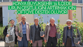 ​Konya Büyükşehir 31 İlçede Ürün Çeşitliliğini Artırmak İçin Çiftçiye Destek Oluyor