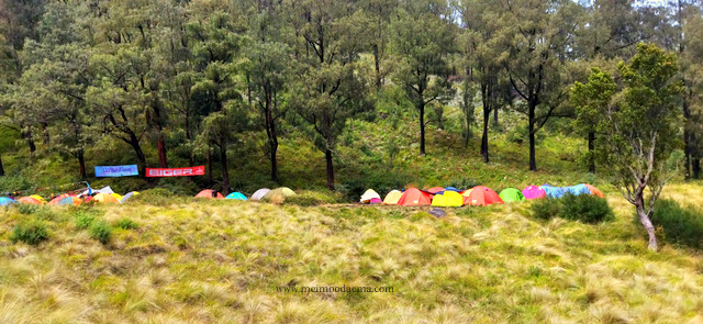 gunung lawu pos bupak menjangan