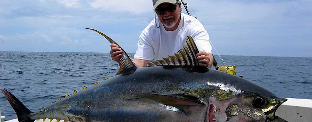 puerto Vallarta fishing