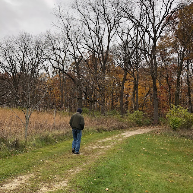 Walking through the late fall grassland at Richard Young Forest Preserve.