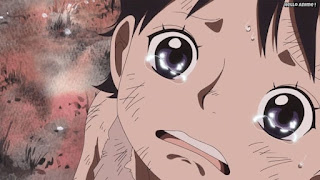 ワンピースアニメ ドレスローザ編 710話 ベビー5 幼少期 Baby 5 | ONE PIECE Episode 710