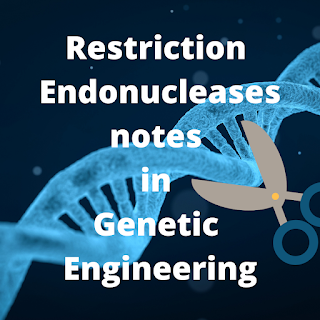 Restrication Endonucleases