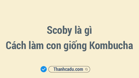 con giong scoby la gi,scoby mua o au,tra kombucha co vi gi,scoby e lam gi,cach lam con giong kombucha,scoby va con giam,scoby co tac dung gi,scoby dung lam gi,Cách làm con giống Kombucha,Con giống SCOBY là gì,Scoby dụng làm gì,Mua con giống SCOBY,Scoby để làm gì,Scoby mua ở đầu