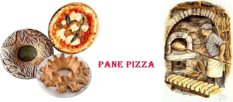 Panepizza
