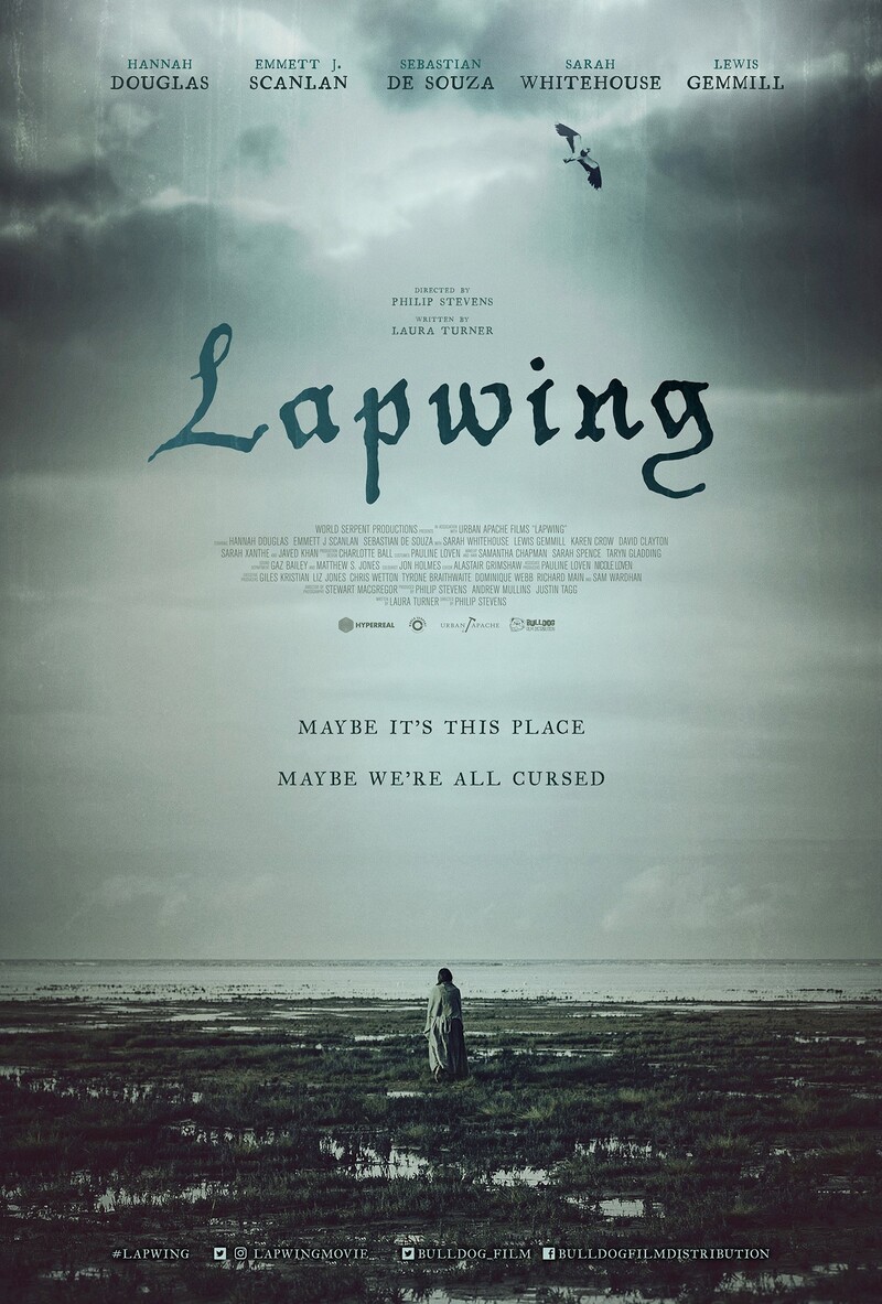 lapwing poster